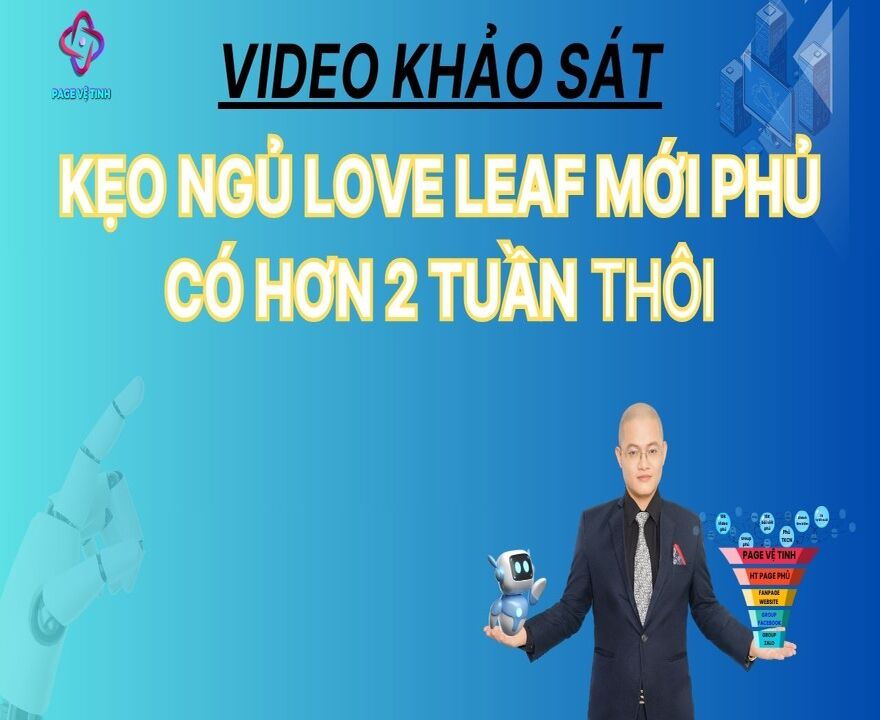 (P1) Video Khảo Sát Sp Kẹo Ngủ Love Leaf Mới Phủ Được Có Hơn 2 Tuần Thôi Đã Bắt Đầu Lên Rất Tốt !